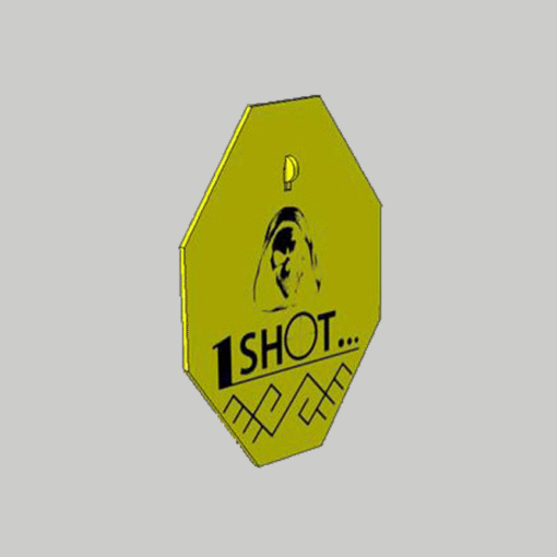 Plieninis gongas šaudymui